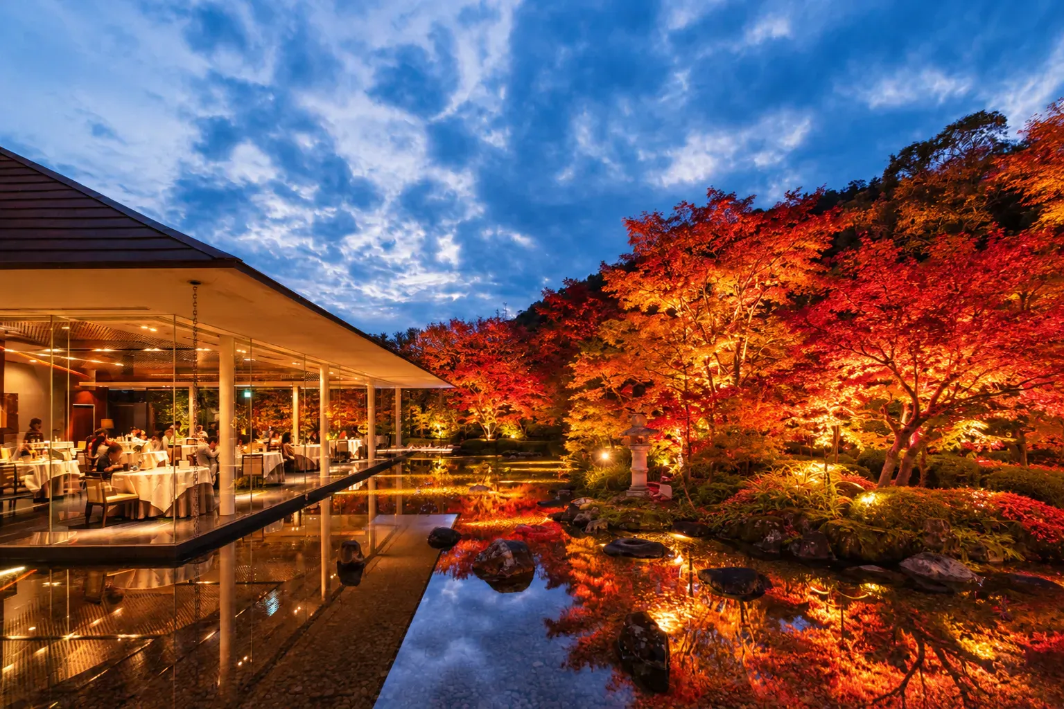 【4日間限定】紅葉ライトアップディナー｜京都の紅葉を、お席で味わう　乾杯ドリンク付き