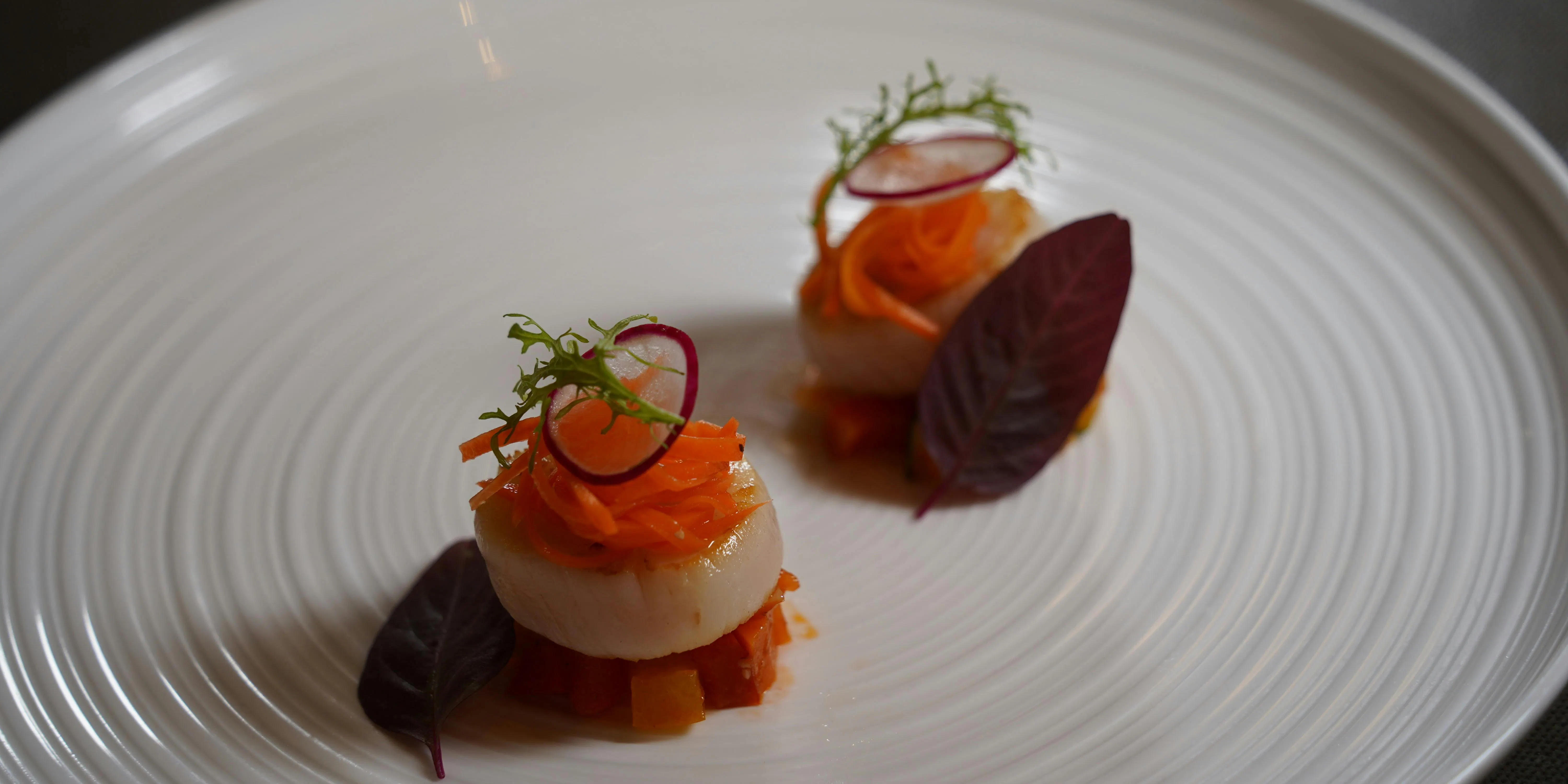 【Degustation】Dinner full-course including A5 rank black Wagyu steak and a total of 6 dishes