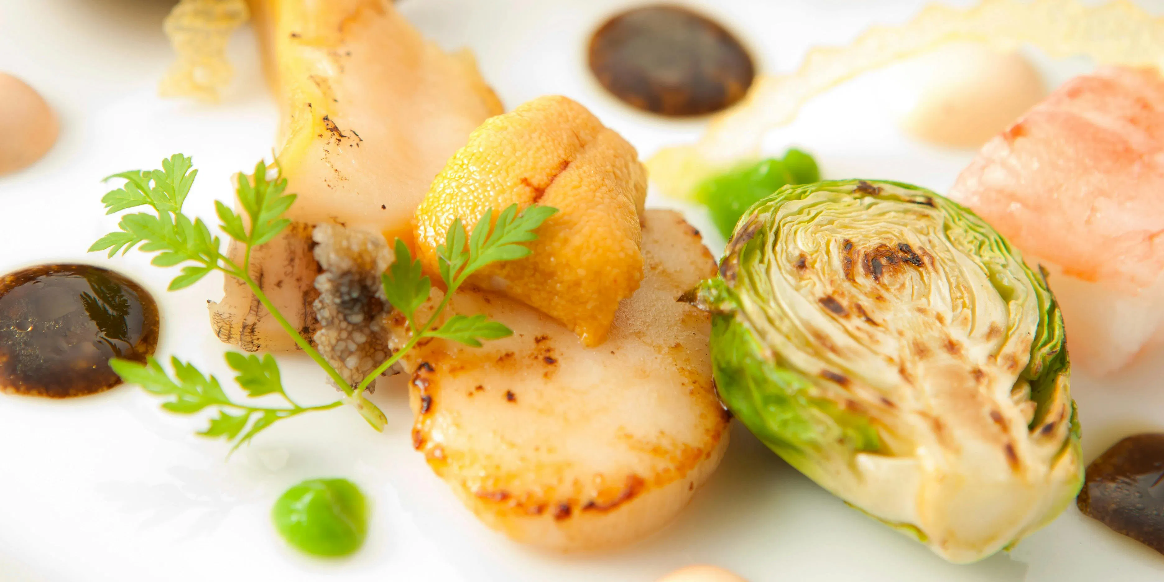 【Menu Terre】可选主菜等共4道菜(12月~)