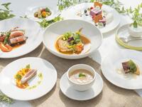 【デギュスタシオン/Menu degustation】魚介の前菜などフルコースディナー全7品
