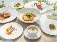【デギュスタシオン/Menu degustation】魚介の前菜などフルコースディナー全7品