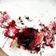 Dinner / Saison Seasonal Full Course / Double Main of Fish and Meat / Choice of Meat / 11 Dishes