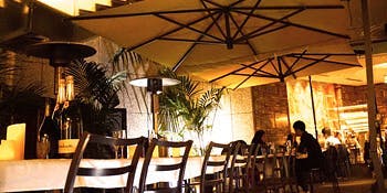 [Terrace Seating Exclusive Plan] ~ TERAZZA Spring: Perfect for Welcome and Farewell Parties! ~