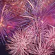 【8月24日スマフェス】花火を楽しむビュッフェ&飲み放題