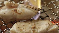 【夏季限定鳎炭烤套餐】包括鳎鱼刺身，炸鸡，杂烩等7道菜品。的图像