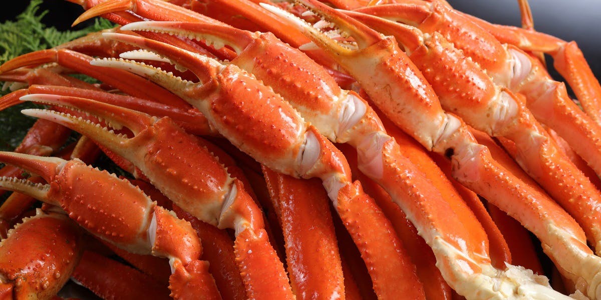 [October–December] Dinner: All-You-Can-Eat Snow Crab, Opilio Crab & Roast Beef