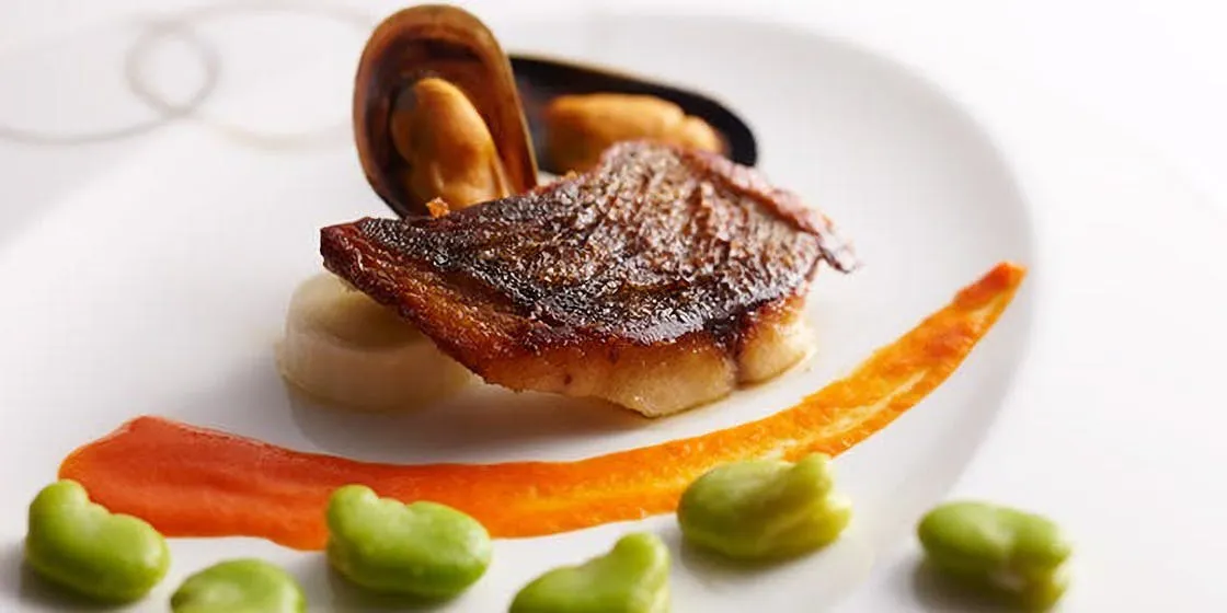 Evolution Course – Casual Course with 6 Dishes