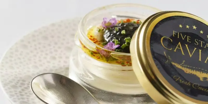 特别菜单 带您享受四季，品尝精选食材与厨师特制佳肴。～踏上美味佳肴的新高度～请尽情享受优雅的晚餐。