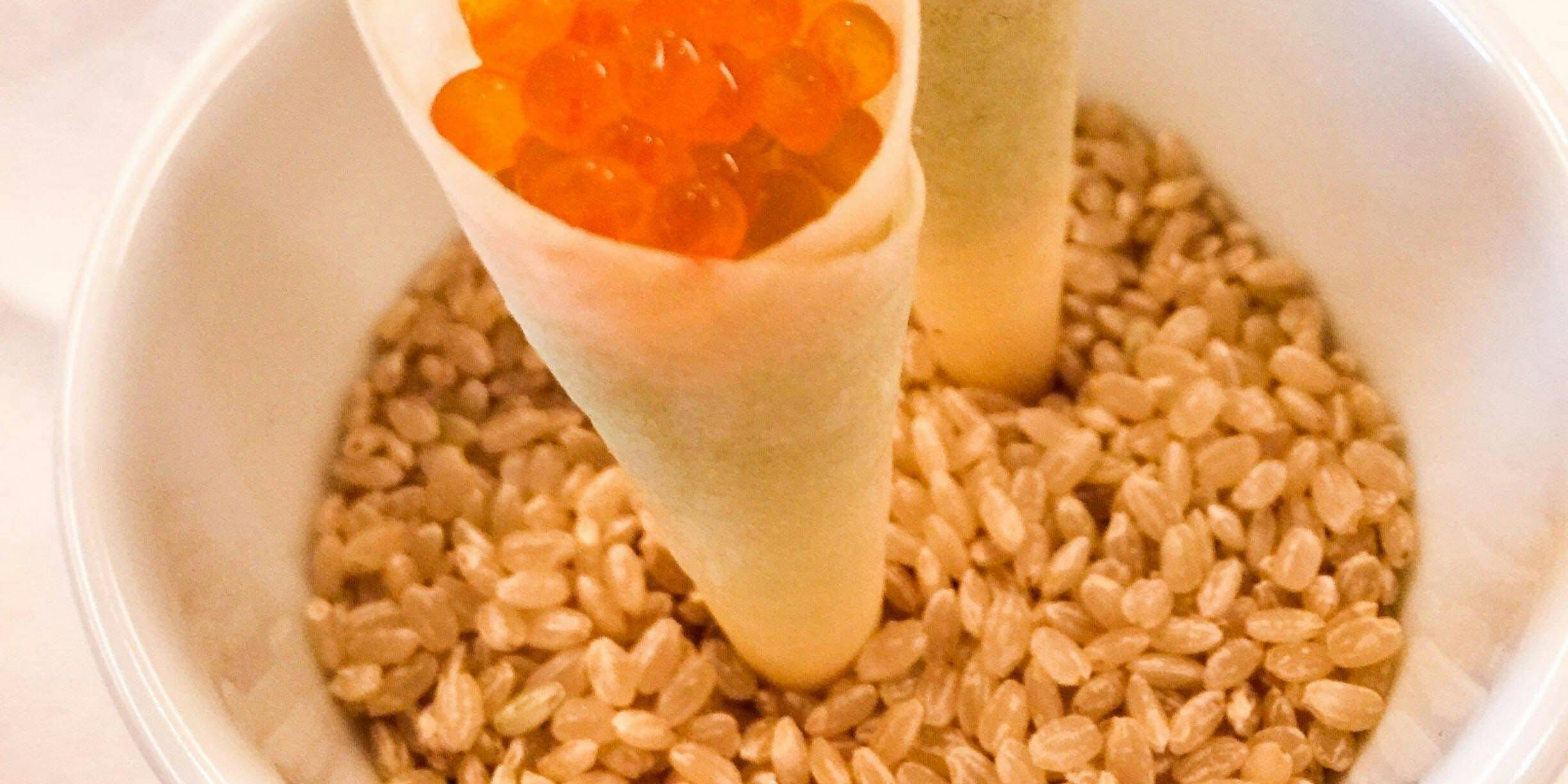 【Cantale】前菜、意大利面、甜点等共6道菜品