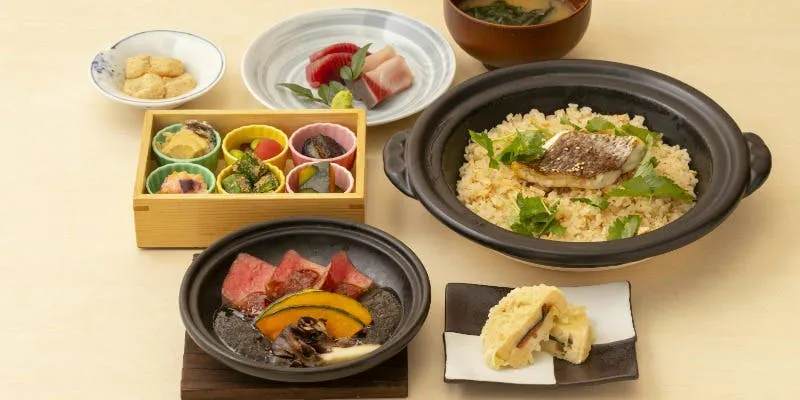 茶茶 Ryu-rey