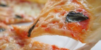[Special Course] 8 Dishes Including Antipasto, Pasta, and Double Main Courses