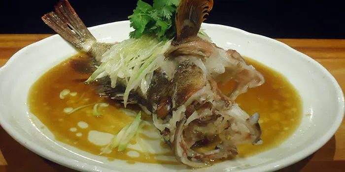 魚China YO