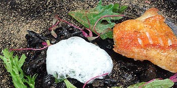 【ル プランタン】シェフ古賀が食材にこだわった全8品