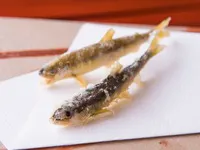 오마카세 특선 코스 ※서비스료 별도