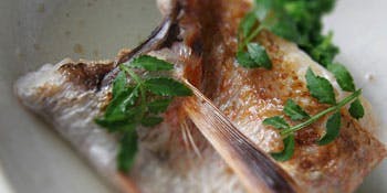 Tsukiko Course: Appetizer, Sashimi, Simmered Dish, Grilled Dish, Fried Dish, Rice, and other total 8 dishes