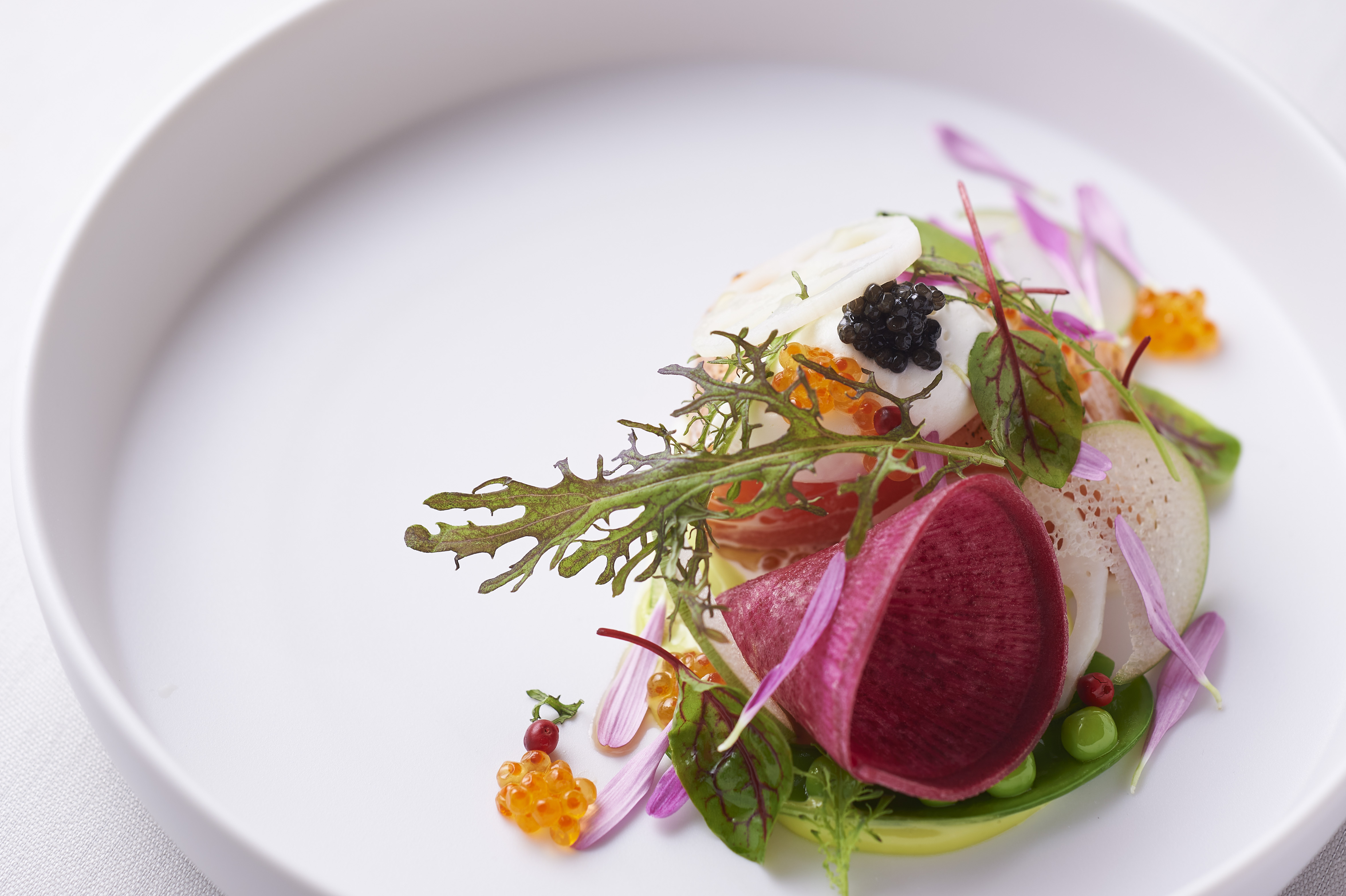 X'mas COURSE & full wine pairing (5glass) ー Le Festin de Noël ― 聖夜の饗宴