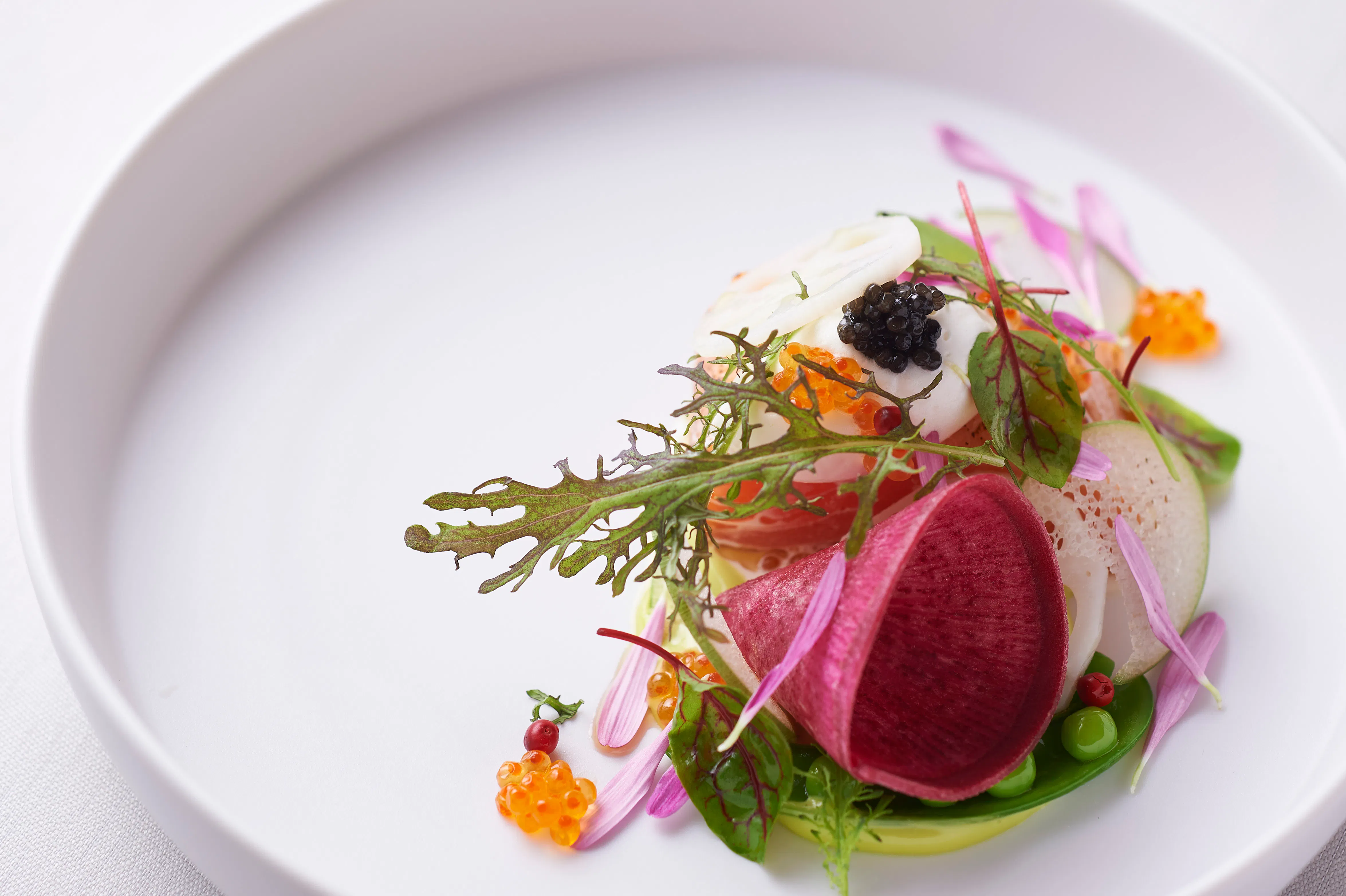 X'mas COURSE & full wine pairing (5glass) ー Le Festin de Noël ― 聖夜の饗宴