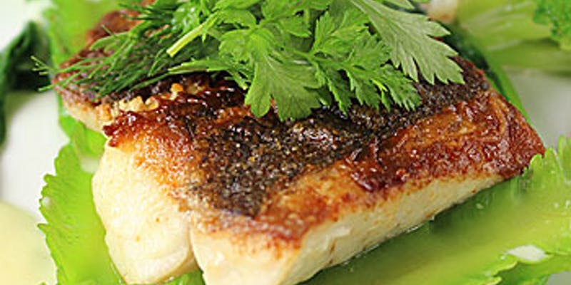 【Wメインコース】魚＆肉料理・パスタ・デザート等全6品