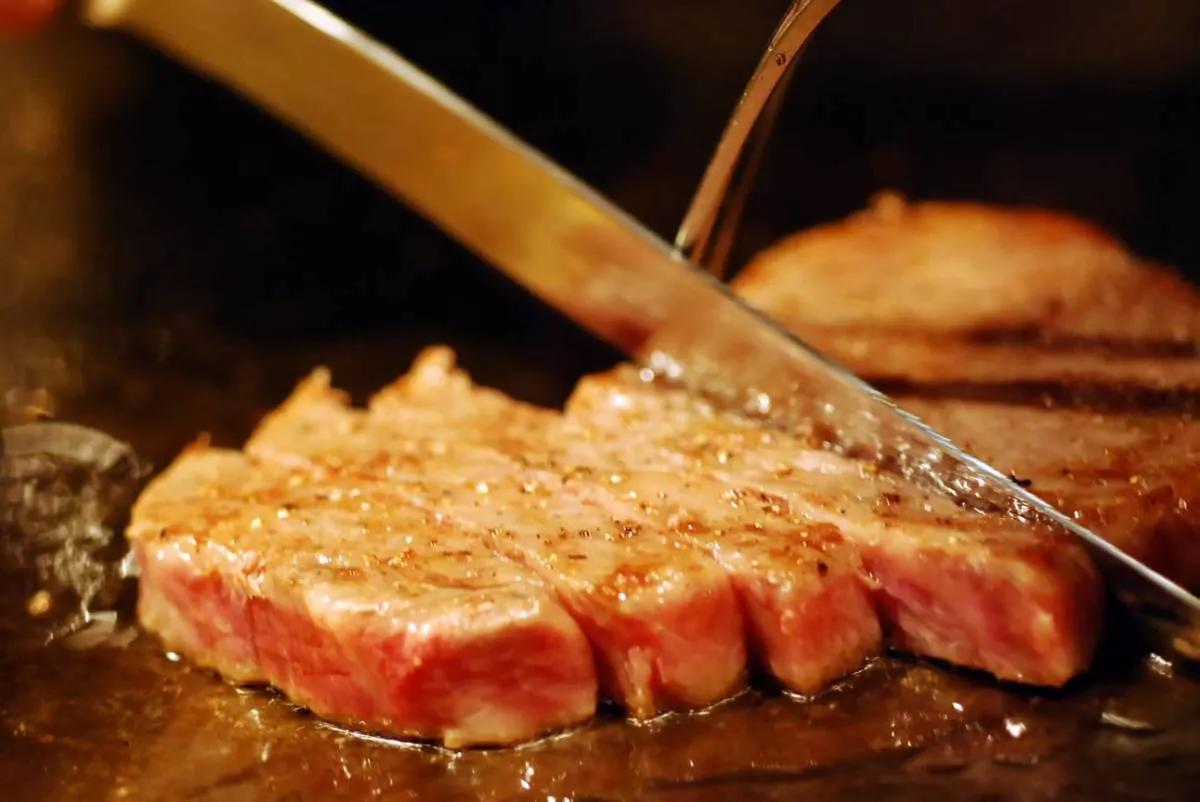【極上コース】国産牛肉の極上ステーキなど 豪華全9品