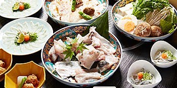 【朱鹭～TOKI～】河豚盛宴！河豚生鱼片、河豚火锅、河豚唐扬、烤白子、河豚醋等共9道菜