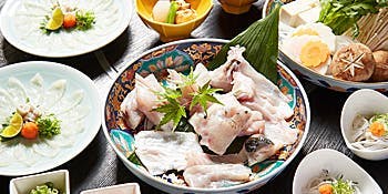 【花传～KADEN～】季节的佳肴、皮湯引、河豚刺身、河豚火锅、甜点等