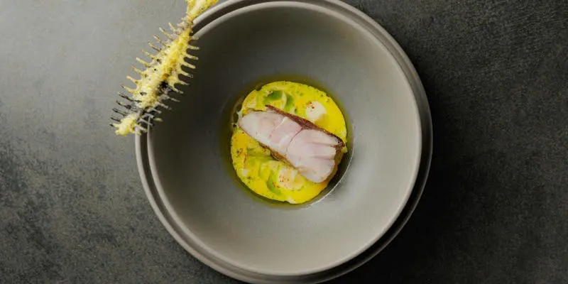 Omakase Course  Standard Course