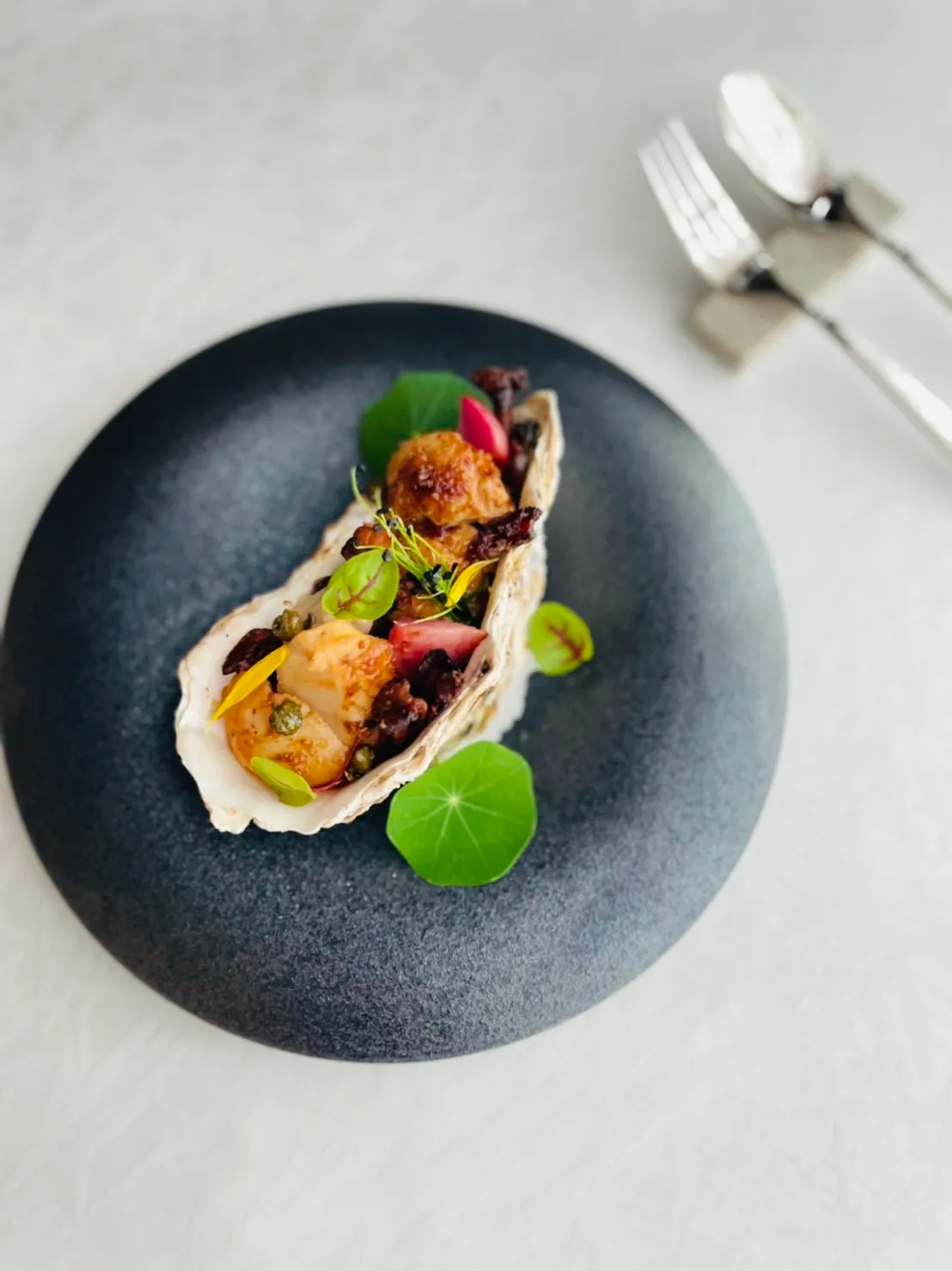 【海の幸】MENU Pescatarian