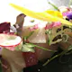 シェフお任せプラン + 乾杯スパークリングワイン