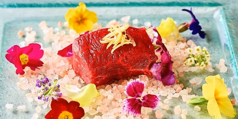 【Carefully Selected Pairing: 5 Glasses】Main Dish of Wagyu Beef Rotisserie with 6 Courses in Total