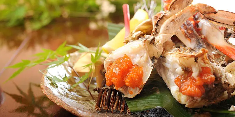 割烹 松屋
