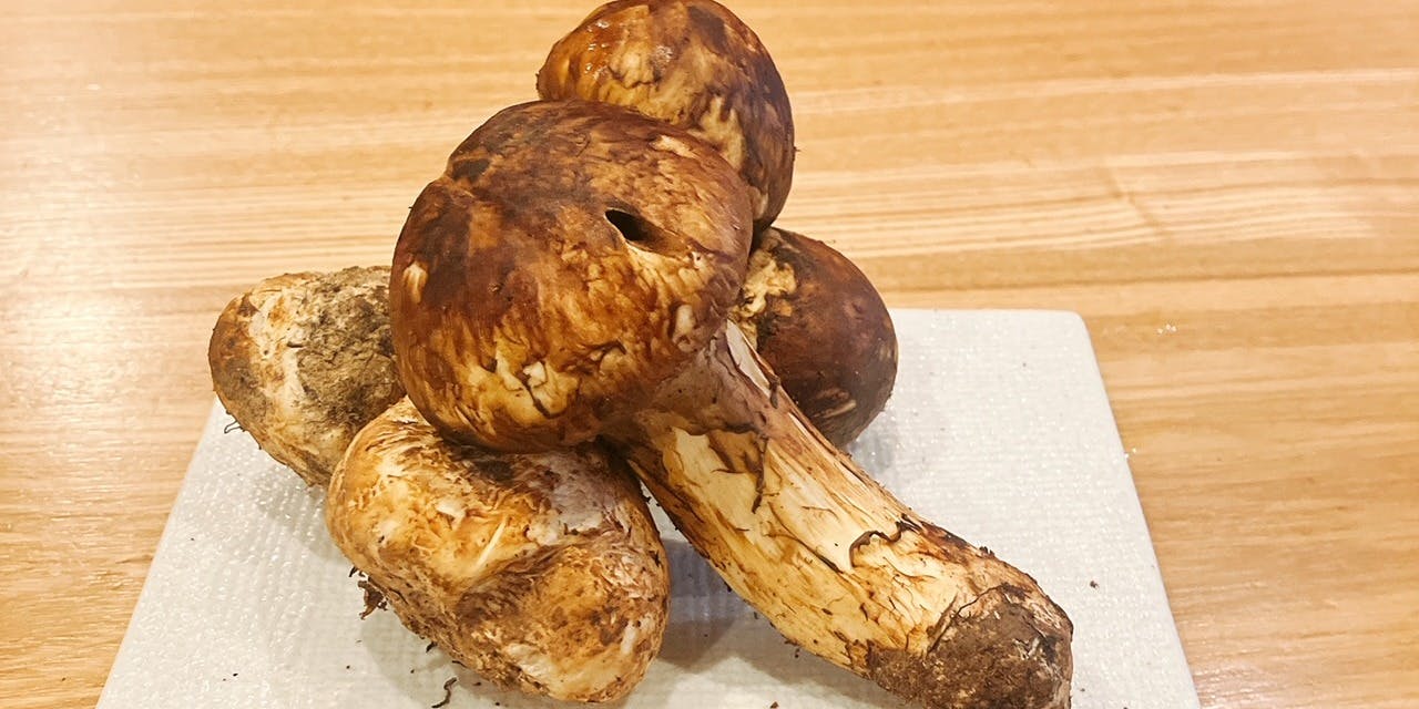 9・10月限定松茸満喫コース