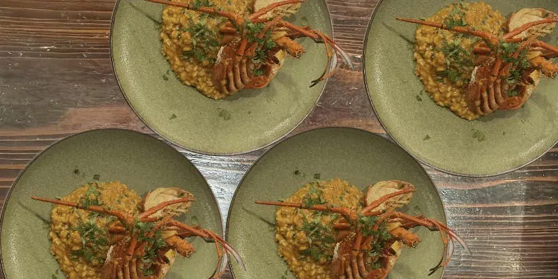 Luxurious Lunch Course: 8 Dishes Including Two Main Courses and Today’s Risotto