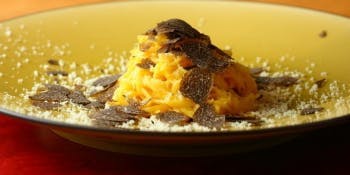 【Pranzo Special】Today's Ingredient Full Course, 8 Dishes