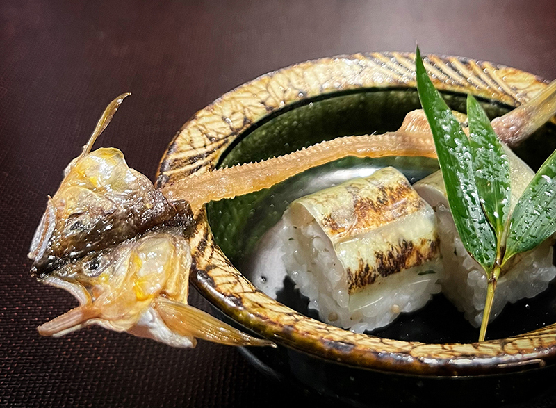 【おまかせコース（ごはん・デザート付）】厳選食材を使用したおすすめコース