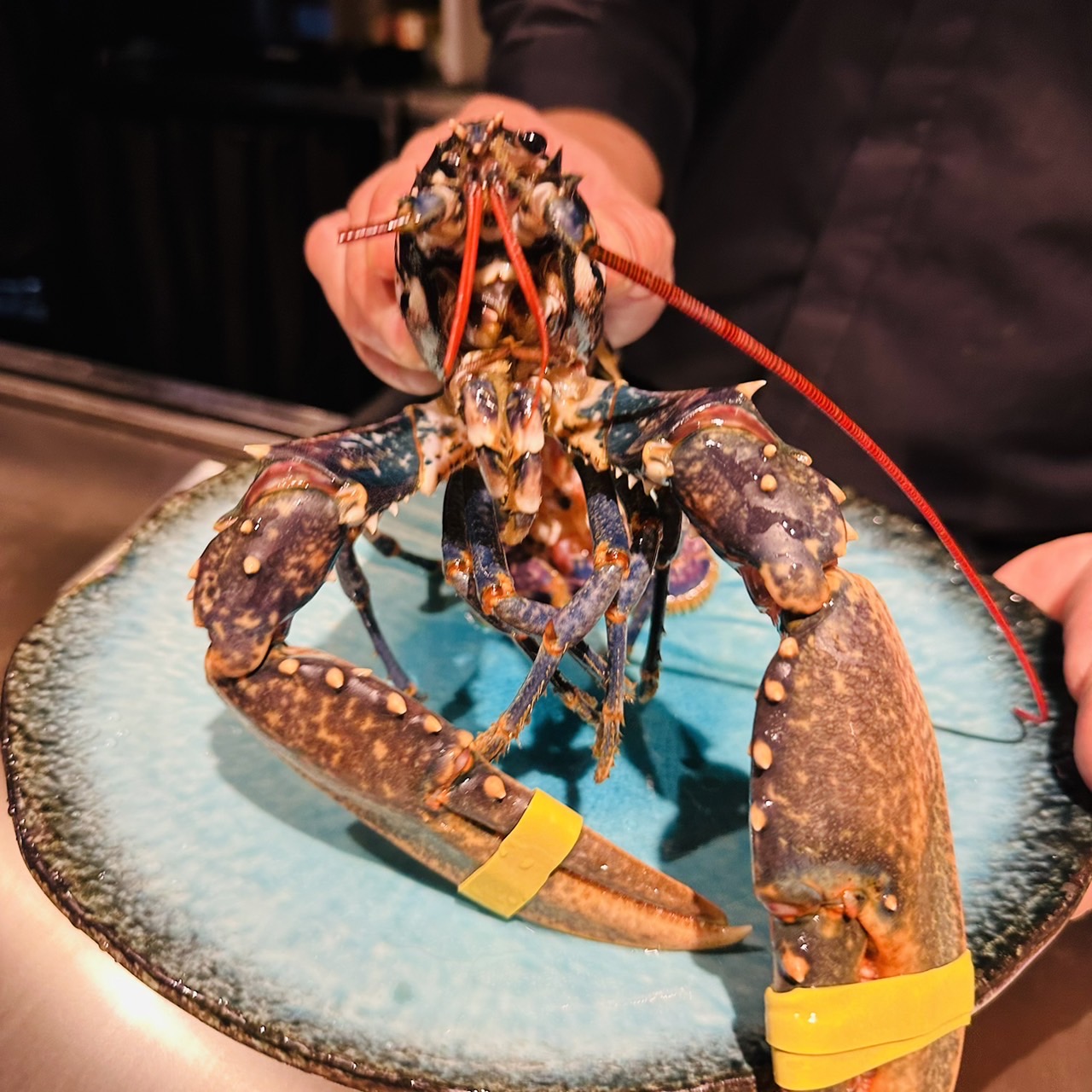 【Chef’s Premium】
