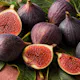 Maison de Parfait Fig (Adult)