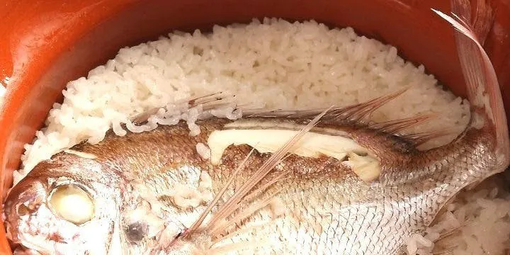 【ランチ】鯛めしコース8品