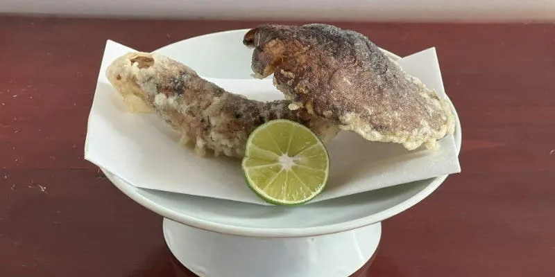 【季節限定】今日萬の松茸づくしコース