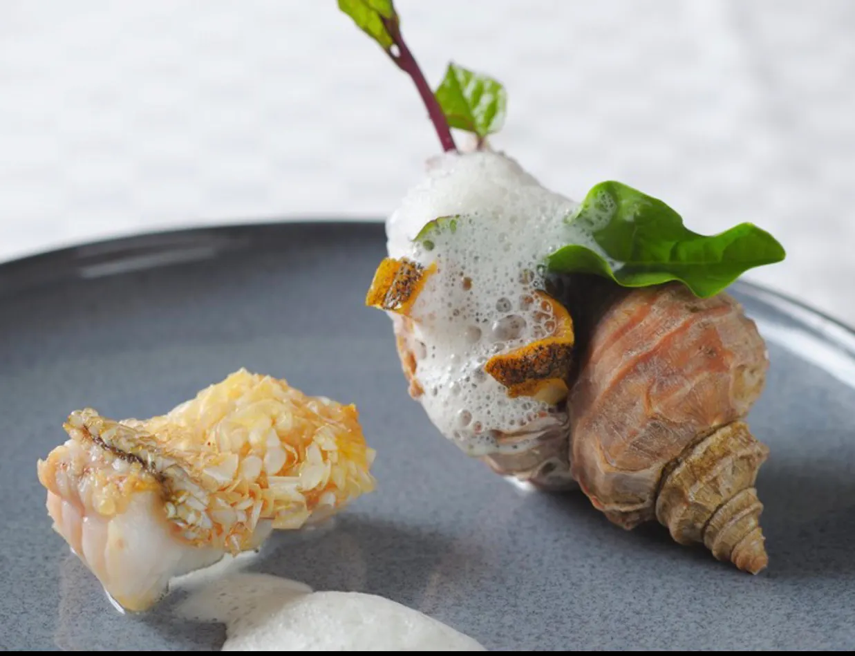 【シェフのお任せコース】厳選した食材を活かした逸品の数々全8品