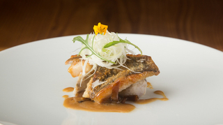 [Menu Saison] A hospitality dish, 2 appetizers, fish, meat, and more, totaling 7 courses