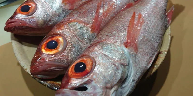 【のどくろ尽くし会席】北陸金沢産の脂がのったのどぐろ使用！焼き物他 全7品
