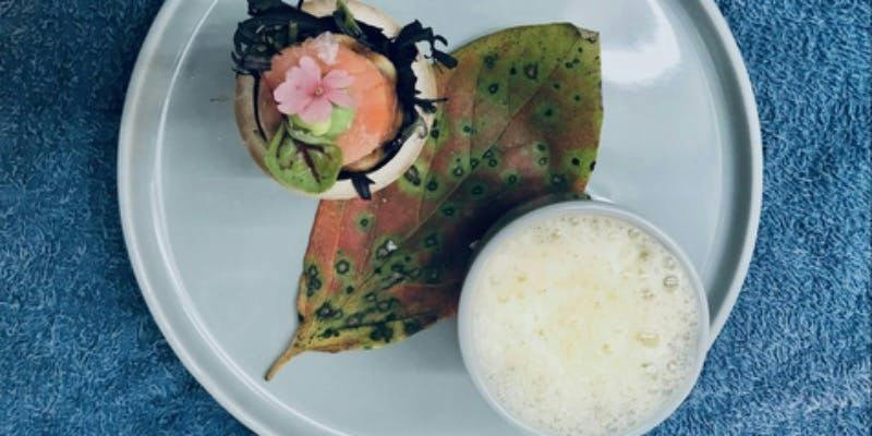 Dinner 【Tradition～トラディション～】輕盈季節風味的現代法式料理 全7品
