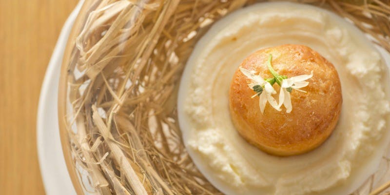 【CLASSICO】A Seven-Course Menu Featuring Signature Specialties, a Choice of Pasta, and Branded Beef