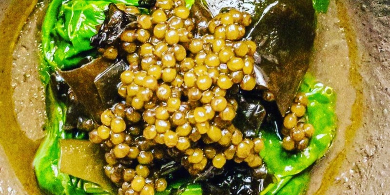 【Smoked Warm Caviar with Kombu-shime & Sea Urchin Toast & Selected Black-haired Wagyu etc. All 11 Dishes】