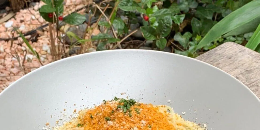 【셰프 추천 런치 코스】고기 요리가 메인인 총 5~6가지 요리