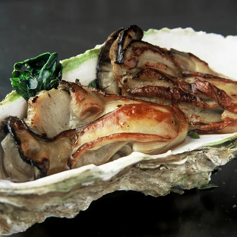 【11月～2月限定／牡蠣の鉄板焼きコース】冬の味覚「牡蠣」と黒毛和牛サーロインステーキを堪能する全12品