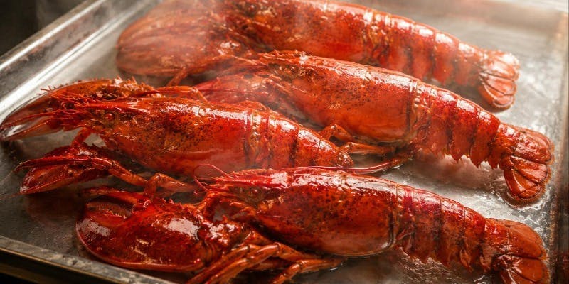 special meso Lobster