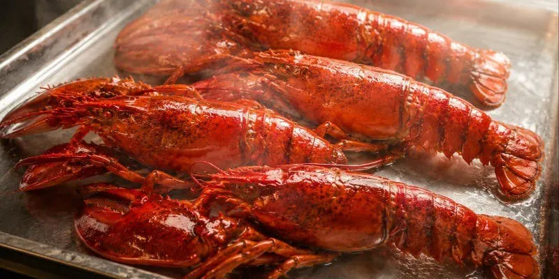 special meso Lobster
