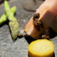 こだわり食材を使った医師監修のランチコース5500円