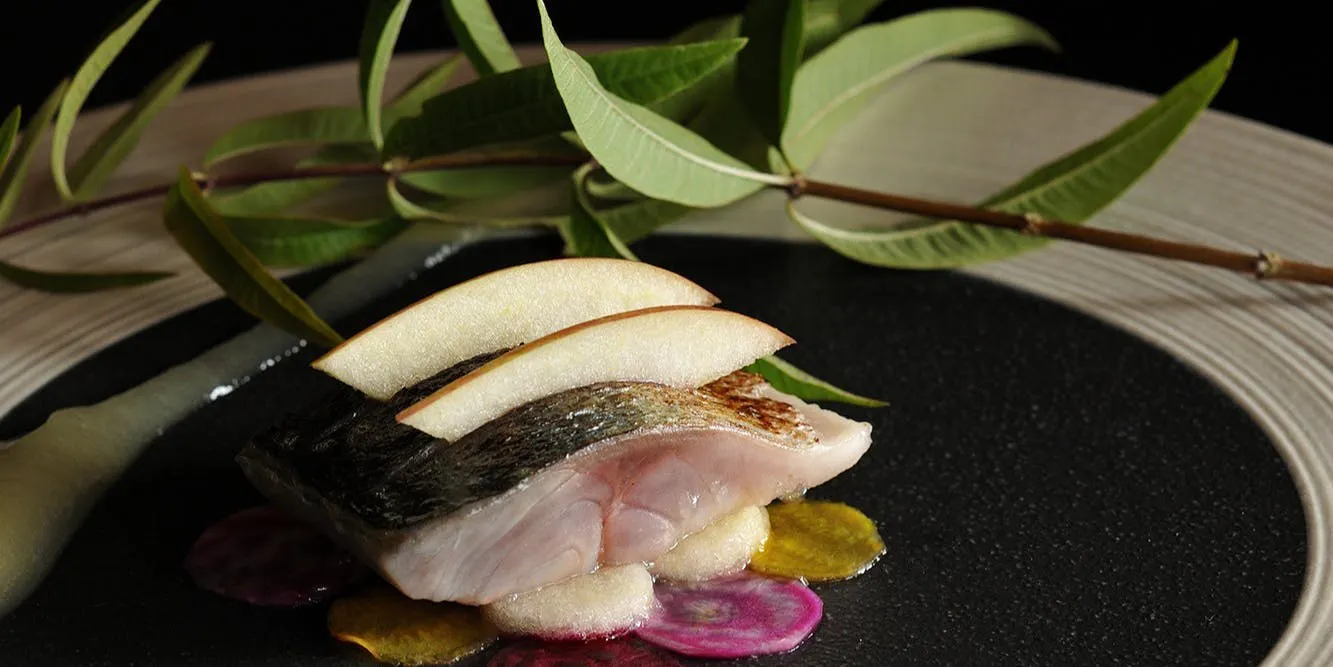 【Course MONTE】前菜拼盘、鱼类和肉类双主菜等共6道菜